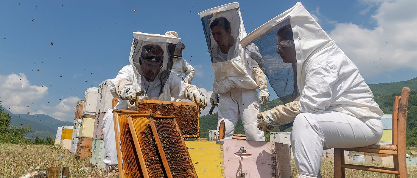 Μειωμένη φέτος η παραγωγή μελιού - Διαμαρτυρήθηκαν οι μελισσοκόμοι στα Φάρσαλα